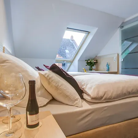 Hotel Rhein Neckar 3*