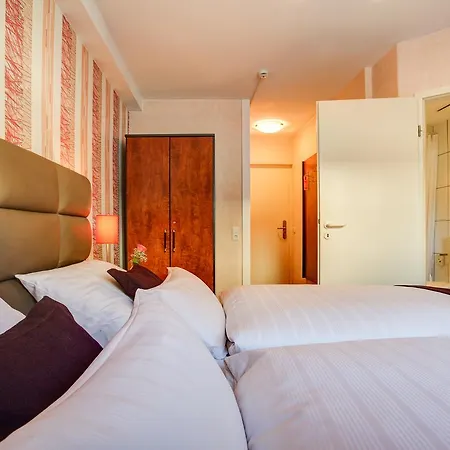 Rhein Neckar Ξενοδοχείο Μάνχαιμ